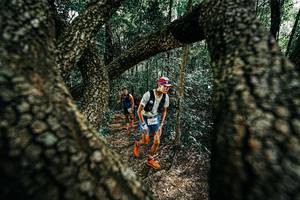 BIB: 
                            <button type="button" onclick="openModal(25392205)" class="btn btn-primary btn-sm float-right btn-popup" data-toggle="modal" data-target=".modal-high-quality">
                        <i class="fas fa-shopping-cart"></i> Add to Cart
                    </button>
                                            <button type="button" onclick="isThisMe(25392205, true)" class="btn btn-success btn-sm float-right btn-popup btn-isme hidden" data-toggle="tooltip" data-placement="bottom" title="นี่คือรูปของคุณใช่ไหม คลิกที่นี่เพื่อเอาเข้าอัลบั้ม">
                        <i class="fas fa-plus"></i> Add to album
                    </button>
                    <button type="button" onclick="isThisMe(25392205, false)" class="btn btn-warning btn-sm float-right btn-popup btn-isnotme hidden">
                        <i class="fas fa-ban"></i> Remove from album
                    </button>